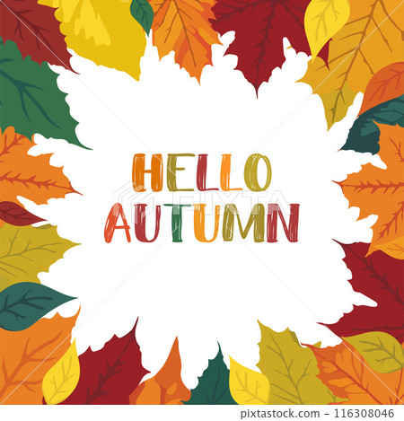 Hello Autumn square frame with fallen leaves of vibrant colors, editable Fall banner or postcard on white background Hello Autumn square frame with fallen leaves of vibrant colors, editable Fall banner or postcard on white background 116308046