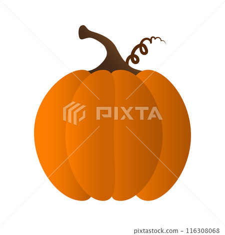 A pumpkin orange color isolated vector illustration flat design  116308068