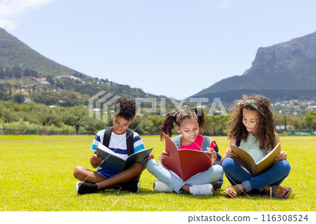 Biracial children read books in sunny field, copy space 116308524