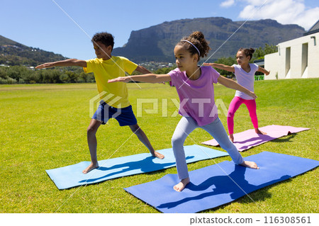 Biracial children practice yoga outdoors on a sunny day 116308561