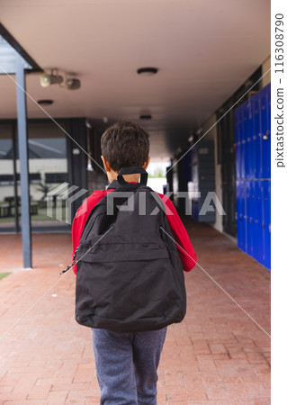 In school, young biracial male student is walking outdoors In school, young biracial male student is walking outdoors 116308790