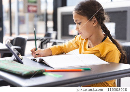 In school, young biracial girl with a braid focusing on her homework in the classroom 116308928