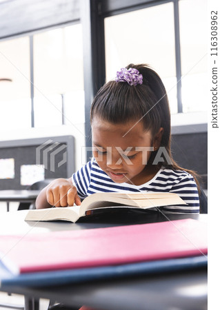 In school, young biracial girl wearing a striped shirt reading a book in the classroom In school, young biracial girl wearing a striped shirt reading a book in the classroom 116308962