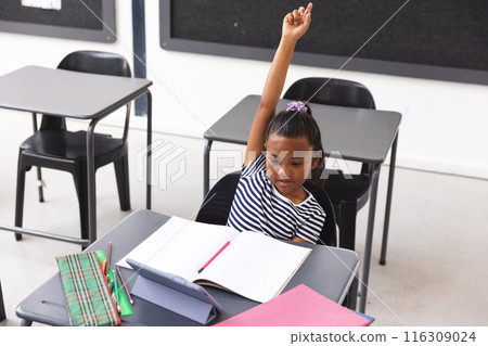 In school, young biracial girl with brown skin and dark hair is raising her hand in the classroom 116309024