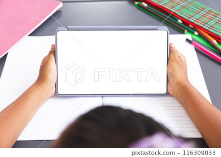 Biracial girl in classroom holds tablet with blank screen for copy space 116309033
