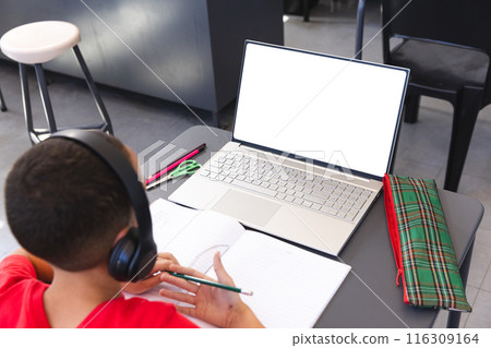 Biracial boy studies at a school desk using a laptop, with copy space 116309164