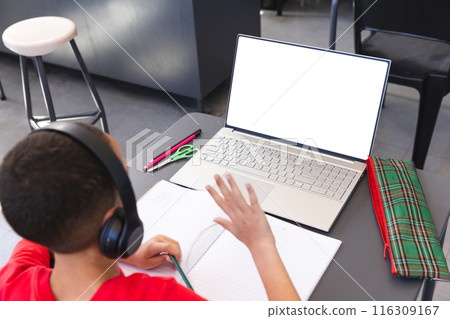 Biracial boy studies in a school classroom using a laptop, with copy space 116309167