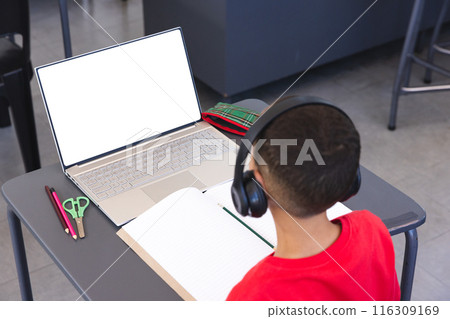 Biracial boy studies in a school classroom using a laptop, with copy space Biracial boy studies in a school classroom using a laptop, with copy space 116309169