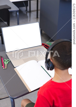 Biracial boy studying at school using a laptop, with copy space Biracial boy studying at school using a laptop, with copy space 116309173
