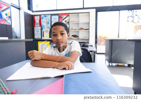 Biracial boy sits at a school desk in a classroom, with copy space, at school 116309232