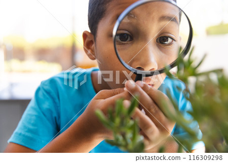 Biracial boy examines plant closely in science class at school Biracial boy examines plant closely in science class at school 116309298