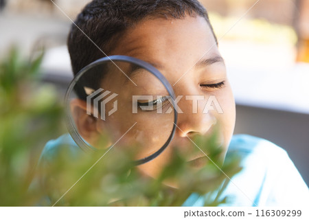 Biracial boy examines nature closely in a school classroom Biracial boy examines nature closely in a school classroom 116309299
