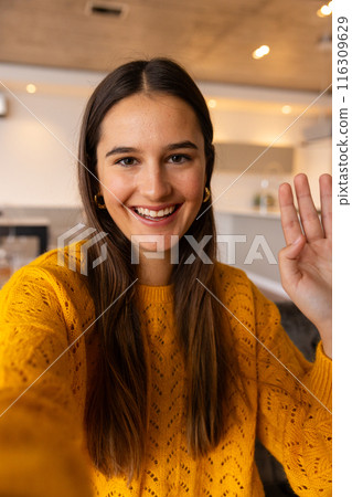 At home, young Caucasian woman with long hair smiling and waving on video call At home, young Caucasian woman with long hair smiling and waving on video call 116309629