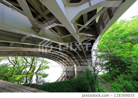 手賀沼（千葉縣）的手賀大橋 116309835