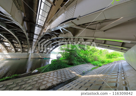 Teganuma Lake's Teganuma Bridge (Chiba Prefecture) 116309842