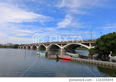 Teganuma Lake's Teganuma Bridge (Chiba Prefecture) Teganuma Lake's Teganuma Bridge (Chiba Prefecture) 116309844