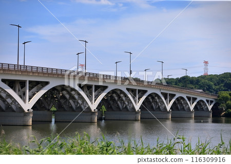 Teganuma Lake's Teganuma Bridge (Chiba Prefecture) Teganuma Lake's Teganuma Bridge (Chiba Prefecture) 116309916