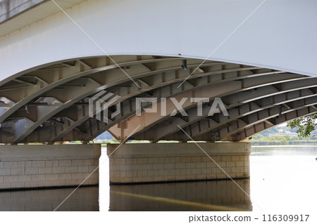 Teganuma Lake's Teganuma Bridge (Chiba Prefecture) Teganuma Lake's Teganuma Bridge (Chiba Prefecture) 116309917