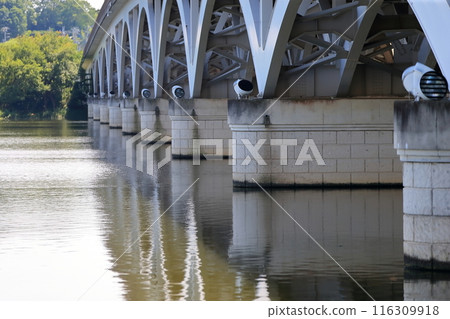 手賀沼（千葉縣）的手賀大橋 116309918