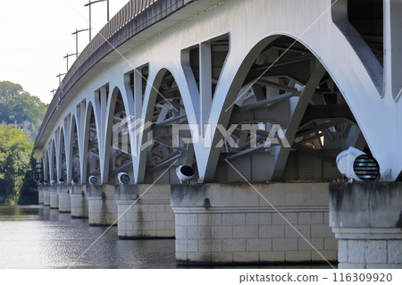 Teganuma Lake's Teganuma Bridge (Chiba Prefecture) Teganuma Lake's Teganuma Bridge (Chiba Prefecture) 116309920
