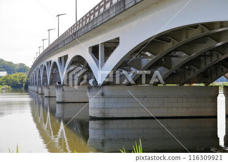 Teganuma Lake's Teganuma Bridge (Chiba Prefecture) 116309921