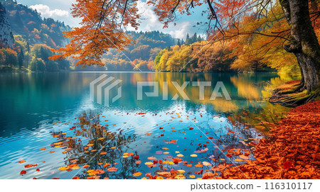 Reflection of autumn leaves 116310117
