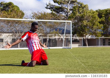 African American soccer player celebrating on soccer field, looking strong and fit, copy space 116310183