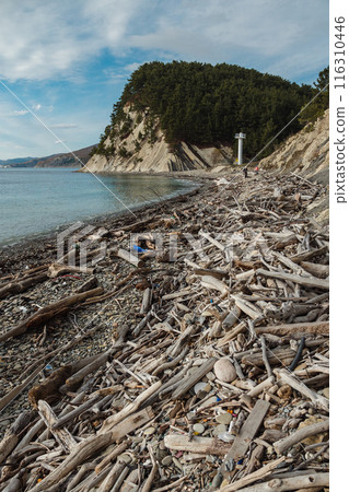 A rocky shoreline covered with driftwood and debris, leading to a forested cliff with a white lighthouse. The sea is calm under a partly cloudy sky. A rocky shoreline covered with driftwood and debris, leading to a forested cliff with a white lighthouse. The sea is calm under a partly cloudy sky. 116310446