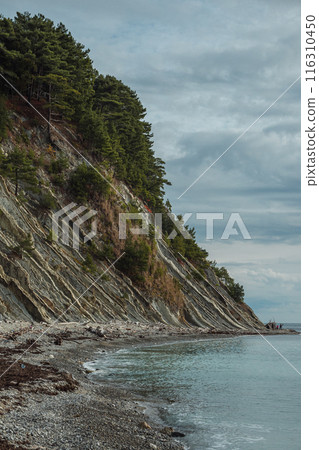 A rugged coastline with steep, forested cliffs meets a rocky beach and calm sea under overcast skies. A wild and beautiful area. A rugged coastline with steep, forested cliffs meets a rocky beach and calm sea under overcast skies. A wild and beautiful area. 116310450