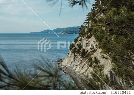 A serene coastal scene with a rocky cliffside covered in pine trees, overlooking a calm, expansive sea. The distant coastline fades into the horizon under a clear, blue sky. 116310451