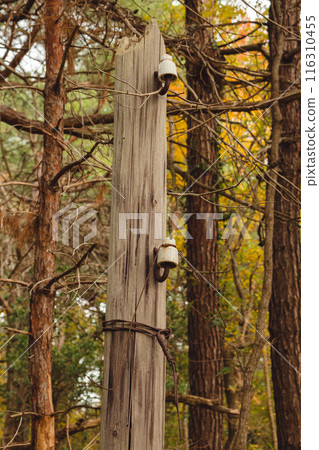 A weathered wooden utility pole stands in a dense forest, adorned with old ceramic insulators and tangled wires. The surrounding trees display autumn foliage. A weathered wooden utility pole stands in a dense forest, adorned with old ceramic insulators and tangled wires. The surrounding trees display autumn foliage. 116310455