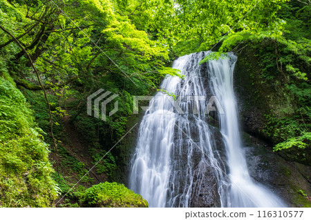 Garon Falls (Garon Falls) 116310577