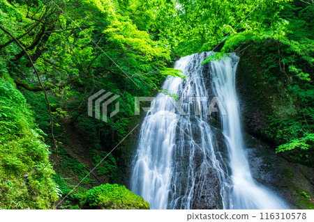 阿貢瀑布 (Agon Falls) 阿貢瀑布 (Agon Falls) 116310578