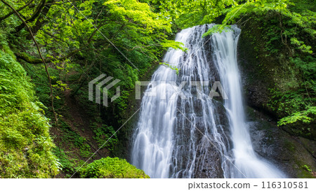 阿貢瀑布 (Agon Falls) 阿貢瀑布 (Agon Falls) 116310581