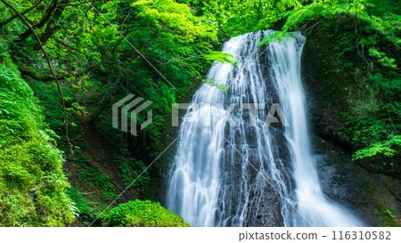 阿貢瀑布 (Agon Falls) 116310582