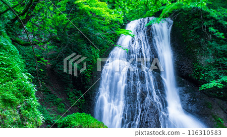 阿貢瀑布 (Agon Falls) 阿貢瀑布 (Agon Falls) 116310583