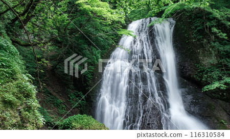 Garon Falls (Garon Falls) 116310584