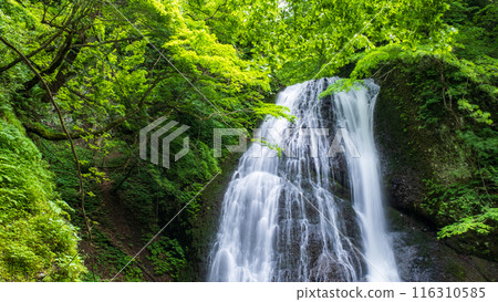 阿貢瀑布 (Agon Falls) 116310585