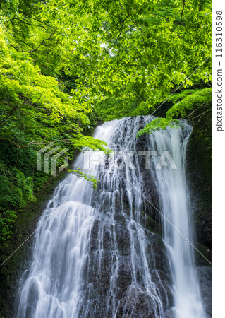 阿貢瀑布 (Agon Falls) 阿貢瀑布 (Agon Falls) 116310598