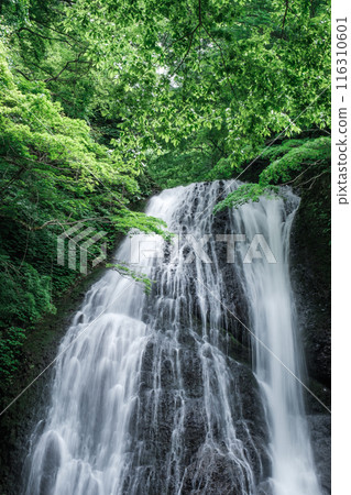 Garon Falls (Garon Falls) Garon Falls (Garon Falls) 116310601