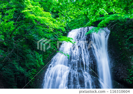 Garon Falls (Garon Falls) Garon Falls (Garon Falls) 116310604