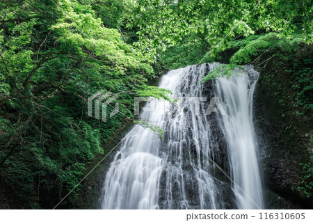 Garon Falls (Garon Falls) Garon Falls (Garon Falls) 116310605