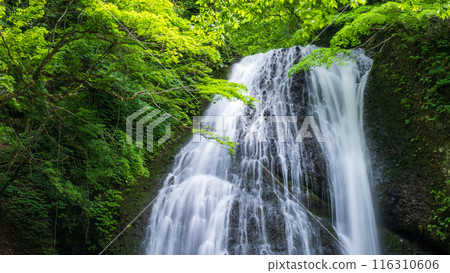阿貢瀑布 (Agon Falls) 阿貢瀑布 (Agon Falls) 116310606