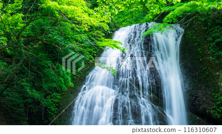 阿貢瀑布 (Agon Falls) 阿貢瀑布 (Agon Falls) 116310607