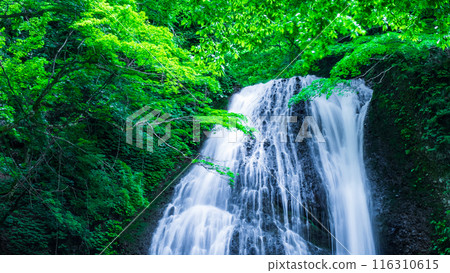阿貢瀑布 (Agon Falls) 阿貢瀑布 (Agon Falls) 116310615