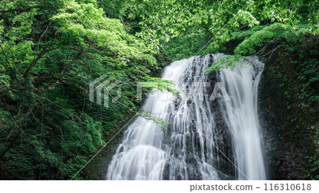 Garon Falls (Garon Falls) 116310618