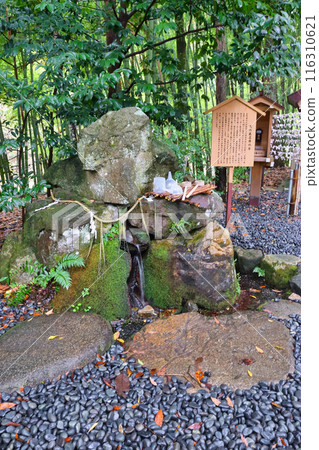 Motoise Kono Shrine, Okumiya, Manai Shrine, Heavenly Manai Water (Miyazu City, Kyoto Prefecture) Motoise Kono Shrine, Okumiya, Manai Shrine, Heavenly Manai Water (Miyazu City, Kyoto Prefecture) 116310621