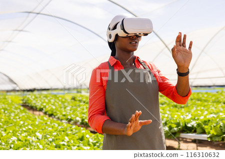 Using VR headset, farmer monitoring hydroponic vegetable garden in greenhouse Using VR headset, farmer monitoring hydroponic vegetable garden in greenhouse 116310632