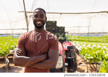 Smiling farmer standing with arms crossed in hydroponic vegetable greenhouse 116310636