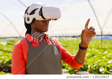 Using VR headset, female farmer managing hydroponic vegetable farm in greenhouse 116310637
